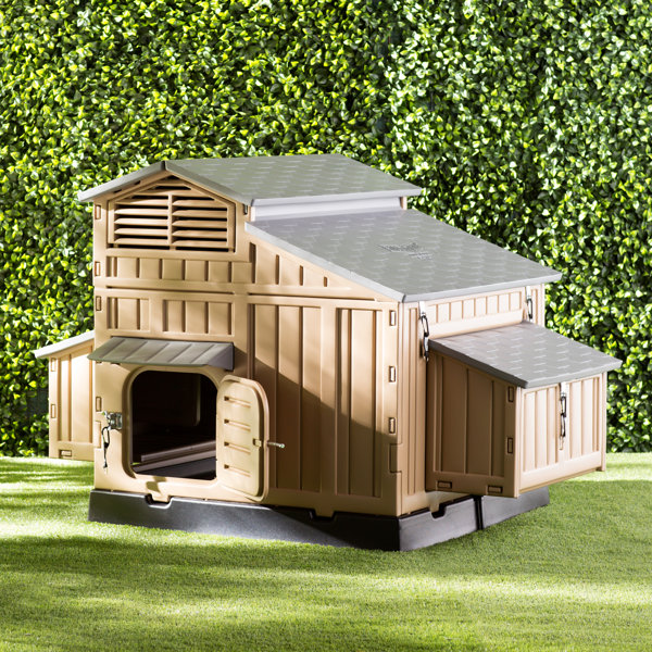 Formex Large Snap Lock Chicken Coop & Reviews Wayfair